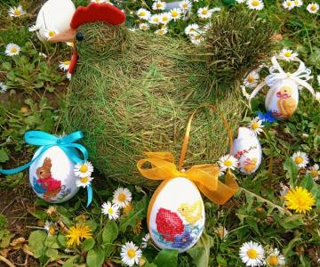 Concorso fotografico PRO LOCO "Colori e sapori di Primavera 2022"